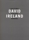 David Ireland: Sculptures, Paintings, Drawings - David Ireland