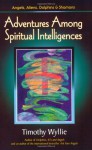 Adventures Among Spiritual Intelligences: Angels, Aliens, Dolphins & Shamans - Timothy Wyllie