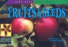 Plant Fruit & Seeds (Look Once, Look Again: Science) - David M. Schwartz, Dwight Kuhn