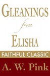 Gleanings from Elisha: His Life and Miracles (Arthur Pink Collection) - Arthur W. Pink