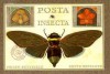 Posta Insecta - Postcard Book - Helen Buttfield