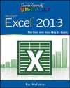 Teach Yourself VISUALLY Excel 2013 (Teach Yourself VISUALLY (Tech)) - Paul McFedries