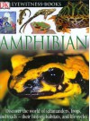 Amphibian - Barry Clarke