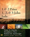 1 and 2 Peter, Jude, 1,2, and 3 John (Zondervan Illustrated Bible Backgrounds Commentary) - Clinton E. Arnold