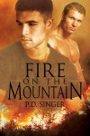 Fire on the Mountain - P.D. Singer