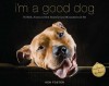 I'm a Good Dog: Pit Bulls, America's Most Beautiful (and Misunderstood) Pet - Ken Foster