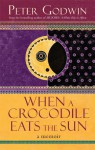 When A Crocodile Eats The Sun A Memoir - Peter Godwin