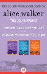 The Color Purple Collection: The Color Purple, The Temple of My Familiar, and Possessing the Secret of Joy - Alice Walker