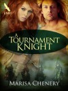 A Tournament Knight - Marisa Chenery