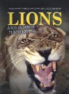 Lions and Other Mammals - Andrew Solway