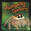 Jumping Spiders - Joanne Mattern