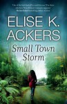 Small Town Storm - Elise K. Ackers