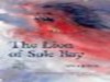 The Lion of Sole Bay (Strong Winds Series) - Julia Jones, Claudia Myatt