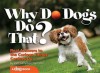 Why Do Dogs Do That?: Real Answers to the Curious Things Canines Do? - Kim Campbell Thornton