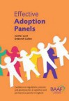 Effective Adoption and Permanence Panels 4th Edition - Deborah Cullen