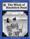 A Guide for Using the Witch of Blackbird Pond in the Classroom - Dona Herweck, Paula Spence