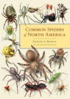 Common Spiders of North America - Richard A. Bradley, Steve Buchanan