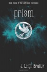Prism - J. Leigh Bralick