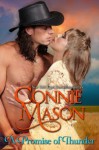 A Promise of Thunder - Connie Mason