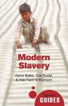 Modern Slavery: A Beginner's Guide - Kevin Bales, Joe Trodd, Alex Kent Williamson