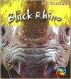 Black Rhino - Louise Spilsbury, Richard Spilsbury