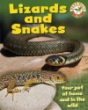 Lizards & Snakes - Sally Morgan