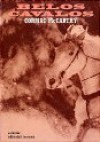 Belos Cavalos - Cormac McCarthy