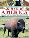 An Illustrated Guide to the Animals of America: A Visual Encyclopedia of Amphibians, Reptiles and Mammals in the United States, Canada and South America, with Over 350 Illustrations - Tom Jackson