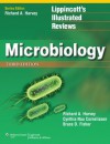 Microbiology (Lippincott's Illustrated Reviews Series) - Richard A. Harvey