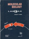 Molecular Biology Labfax - T.A. Brown