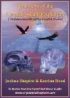 Journeys of the Crystal Skull Explorers (Discover the True Secrets that are Hidden within the Crystal Skulls) - Katrina Head, Joshua Shapiro