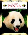 Giant Panda - Malcolm Penny