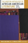 The Norton Anthology of African American Literature (Third Edition) (Vol. Vol 1 + Vol 2) - Henry Louis Gates Jr., Valerie Smith, William L. Andrews, Kimberly Benston