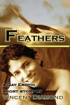 Feathers - Vincent Diamond