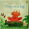 Frog on a Log (Usborne Easy Words to Read) - Phil Roxbee Cox