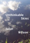 Unthinkable Skies - Juliet Wilson