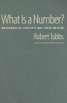 What Is a Number?: Mathematical Concepts and Their Origins - Robert Tubbs