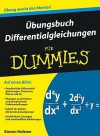 Übungsbuch Differentialgleichungen Für Dummies - Steven Holzner, Judith Muhr