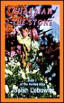 Guardian of the Stone: Book 1 of the Verities Silex - Josiah Lebowitz