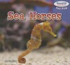 Sea Horses - Maddie Gibbs