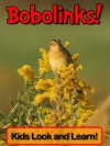 Bobolinks! Learn About Bobolinks and Enjoy Colorful Pictures - Look and Learn! (50+ Photos of Bobolinks) - Becky Wolff