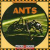 Ants - Susan Ashley