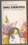 Small is Beautiful: Economics as if People Mattered (Perennial Library) - E.F. Schumacher, Theodore Roszak