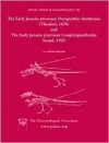 The Early Jurassic Pterosaur Dorygnathus Banthensis (Theodori, 1830) and the Early Jurassic Pterosaur Campylognathoides Strand, 1928 - Kevin Padian