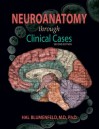 By Hal Blumenfeld Neuroanatomy Through Clinical Cases, Second Edition, Text with Interactive eBook (Blumenfeld, Neuroa (Second) - Hal Blumenfeld