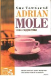 Adrian Mole Czas cappuccino - Sue Townsend