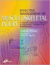 Effective Management of Musculoskeletal Injury: A Clinical Ergonomics Approach to Prevention, Treatment, and Rehab - Andrew Wilson