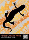 Great Crested Newt Conservation Handbook - Tom Langton, Catherine Beckett, Jim Foster