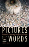 Pictures into Words: Images in Contemporary French Fiction - Ari J. Blatt