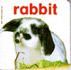 RABBIT (Baby Animal Board Books) - Carol Watson